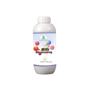 BIG Blooming
