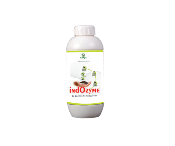 iNdOZYME