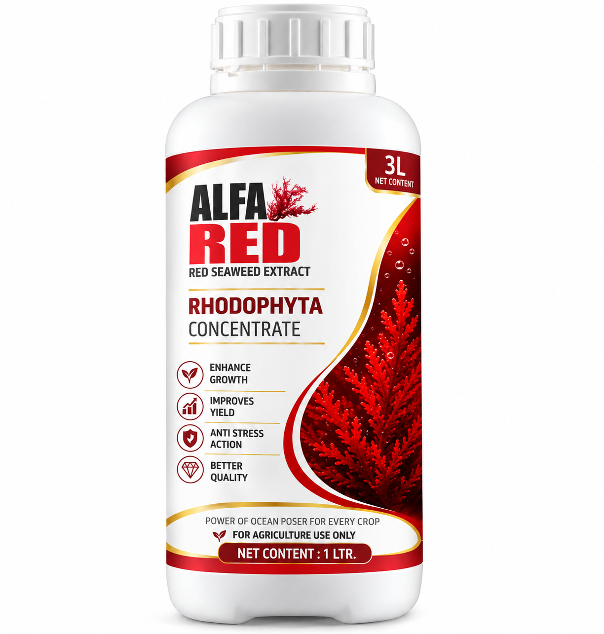 ALFA RED