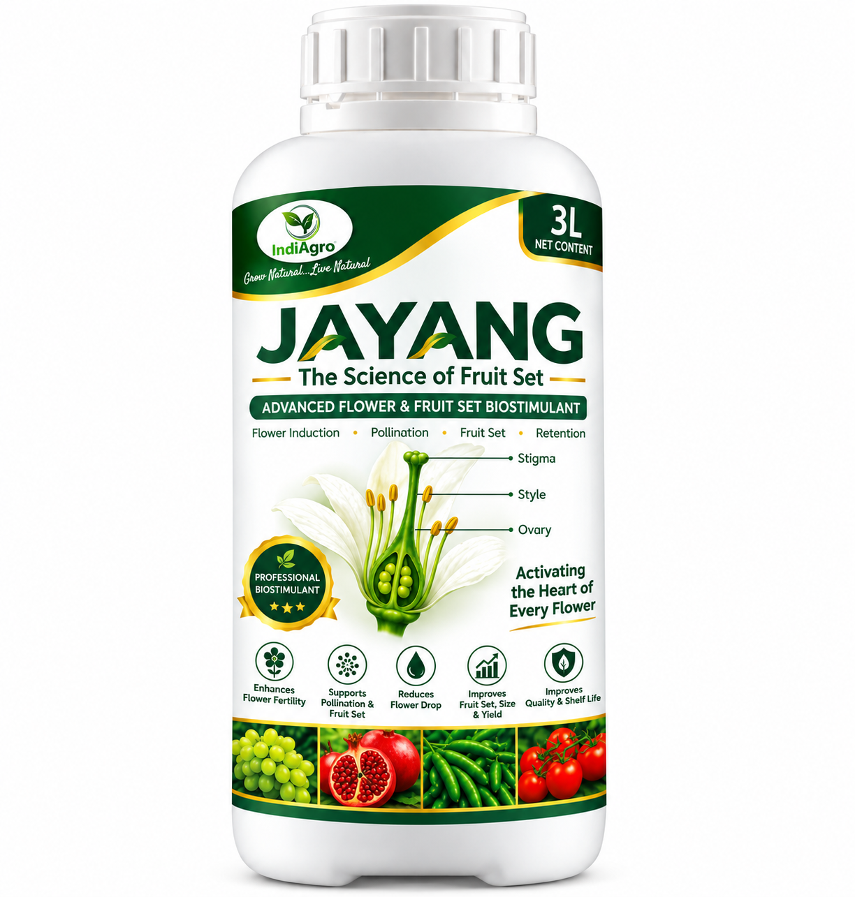 JAYANG