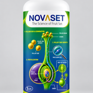 NOVASET