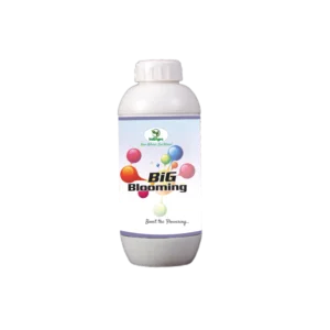 BIG Blooming