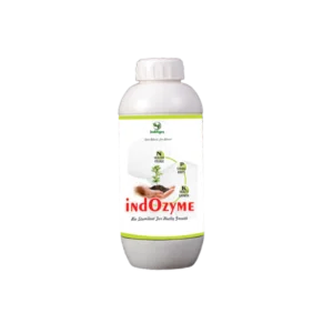 iNdOZYME
