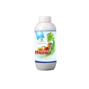 All Master